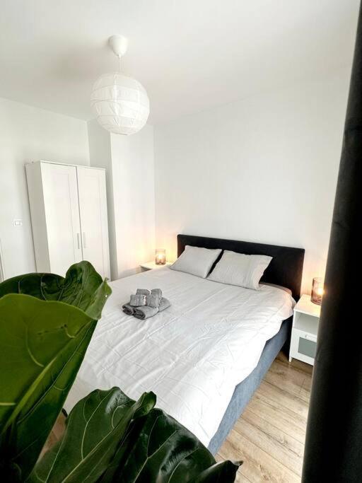 Apartamento Dzielnica Parkowa #7 Rzeszów Exterior foto